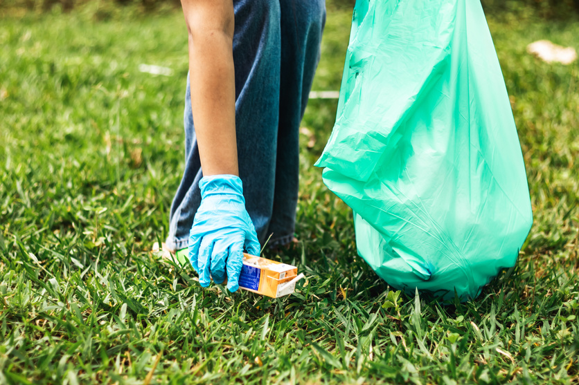 Person Picking Up Trash in the Forest